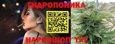 гидропоника Гусиноозёрск