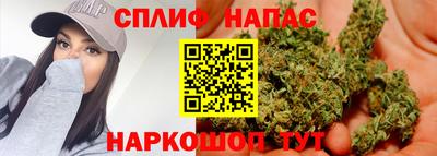 сатива Гусев