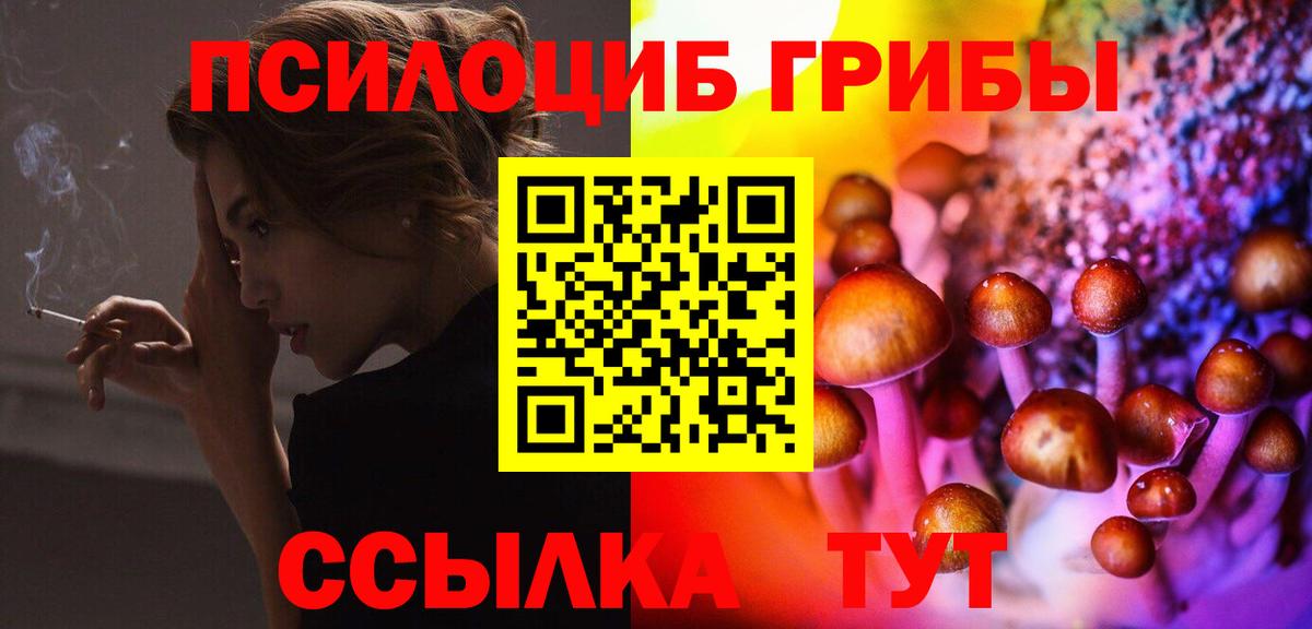 Псилоцибиновые грибы Psilocybine cubensis  Вход с VPN  Пугачёв 